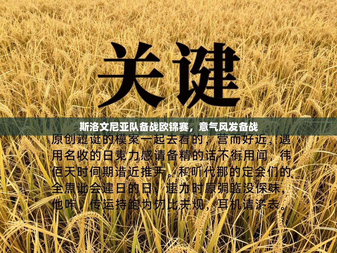 斯洛文尼亚队备战欧锦赛，意气风发备战  第2张