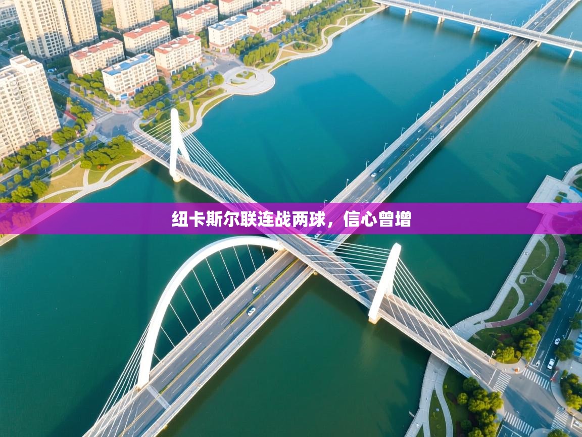 纽卡斯尔联连战两球，信心曾增  第1张